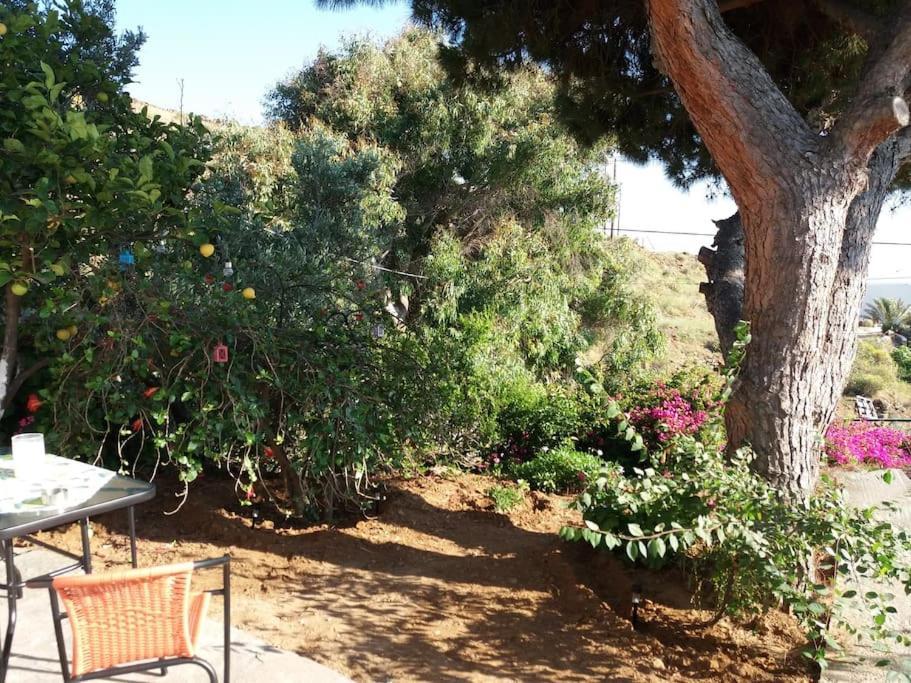 אגיוס רומנוס Grandpa Simos' Traditional Guest House מראה חיצוני תמונה