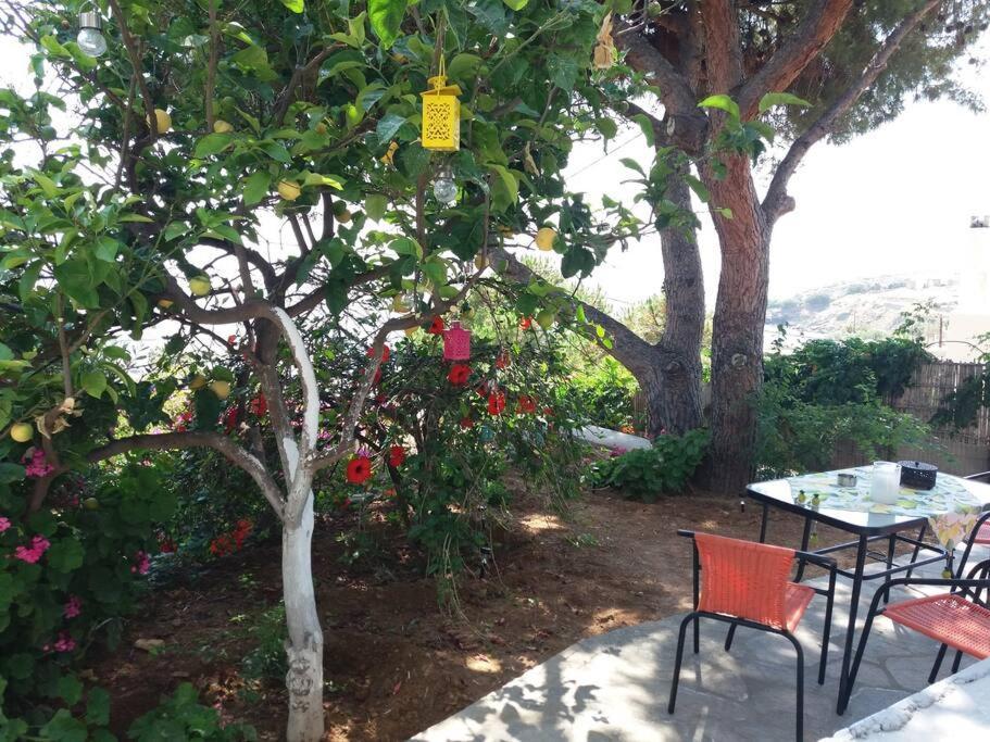 אגיוס רומנוס Grandpa Simos' Traditional Guest House מראה חיצוני תמונה