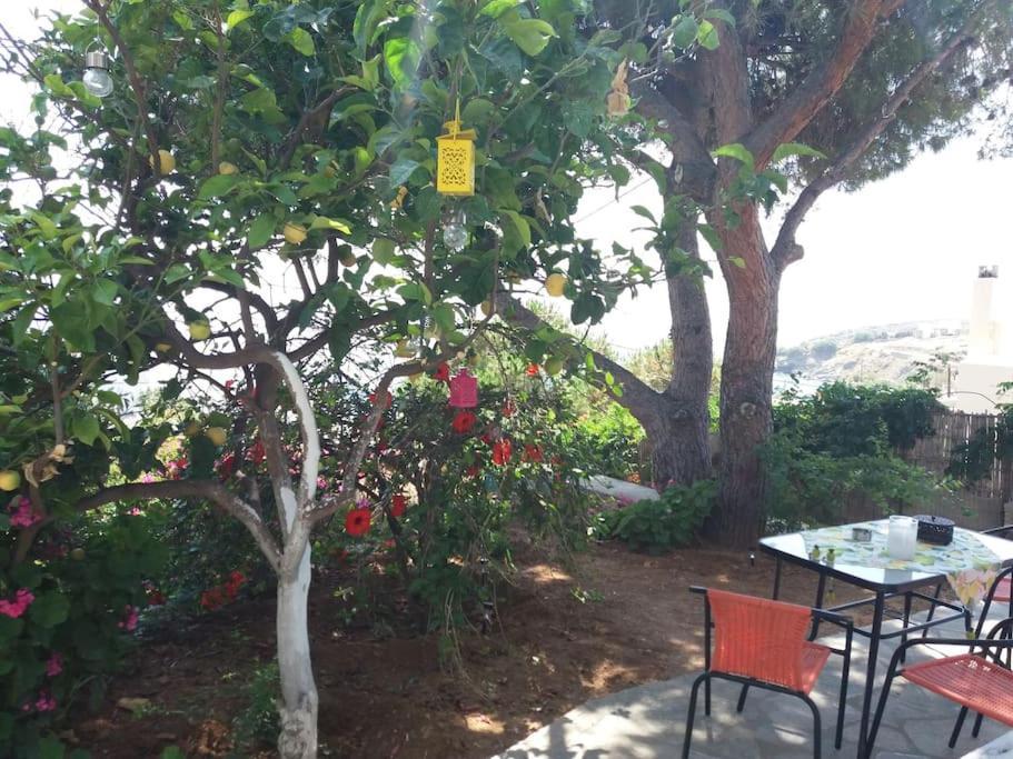 אגיוס רומנוס Grandpa Simos' Traditional Guest House מראה חיצוני תמונה