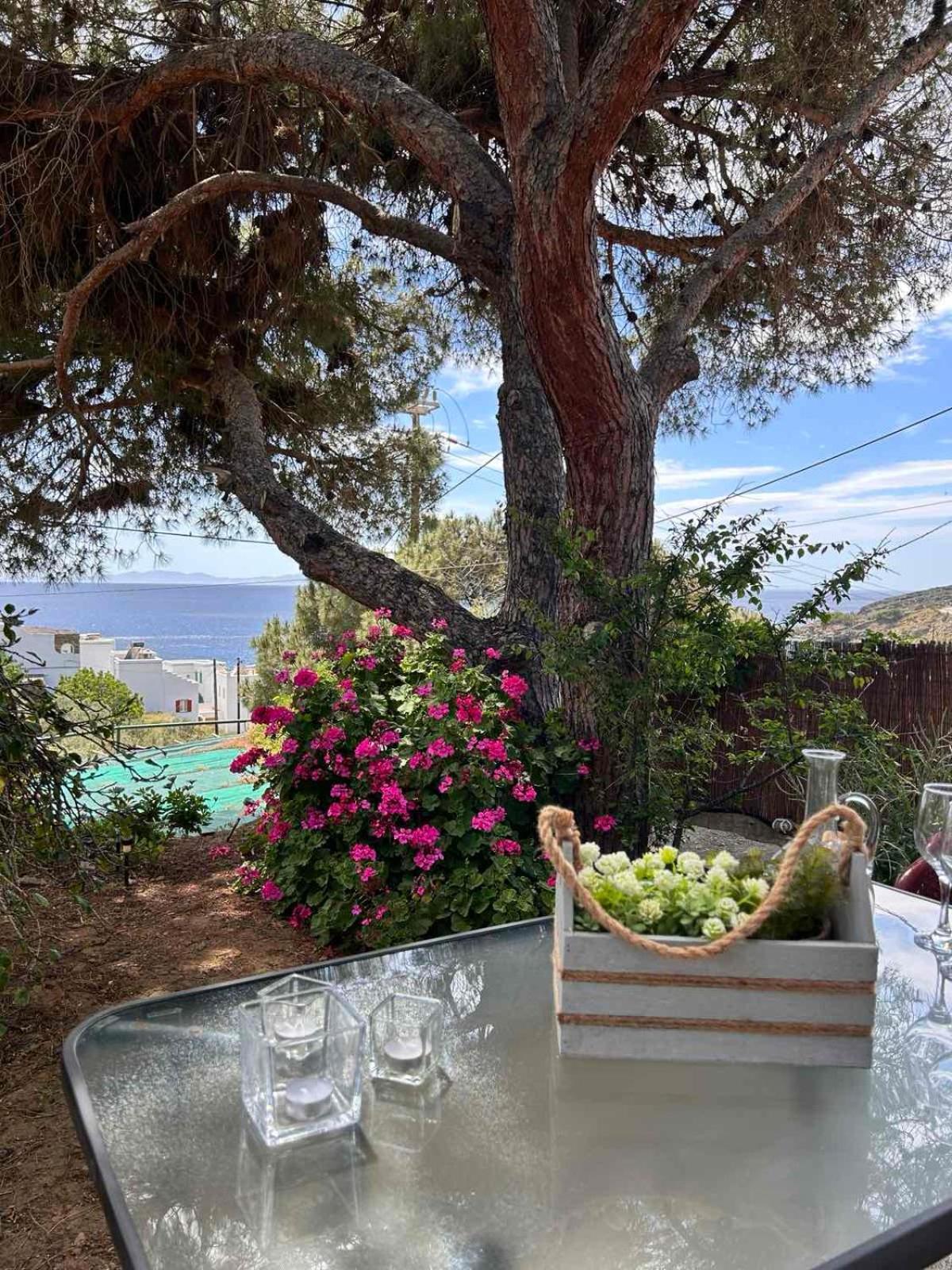 אגיוס רומנוס Grandpa Simos' Traditional Guest House מראה חיצוני תמונה