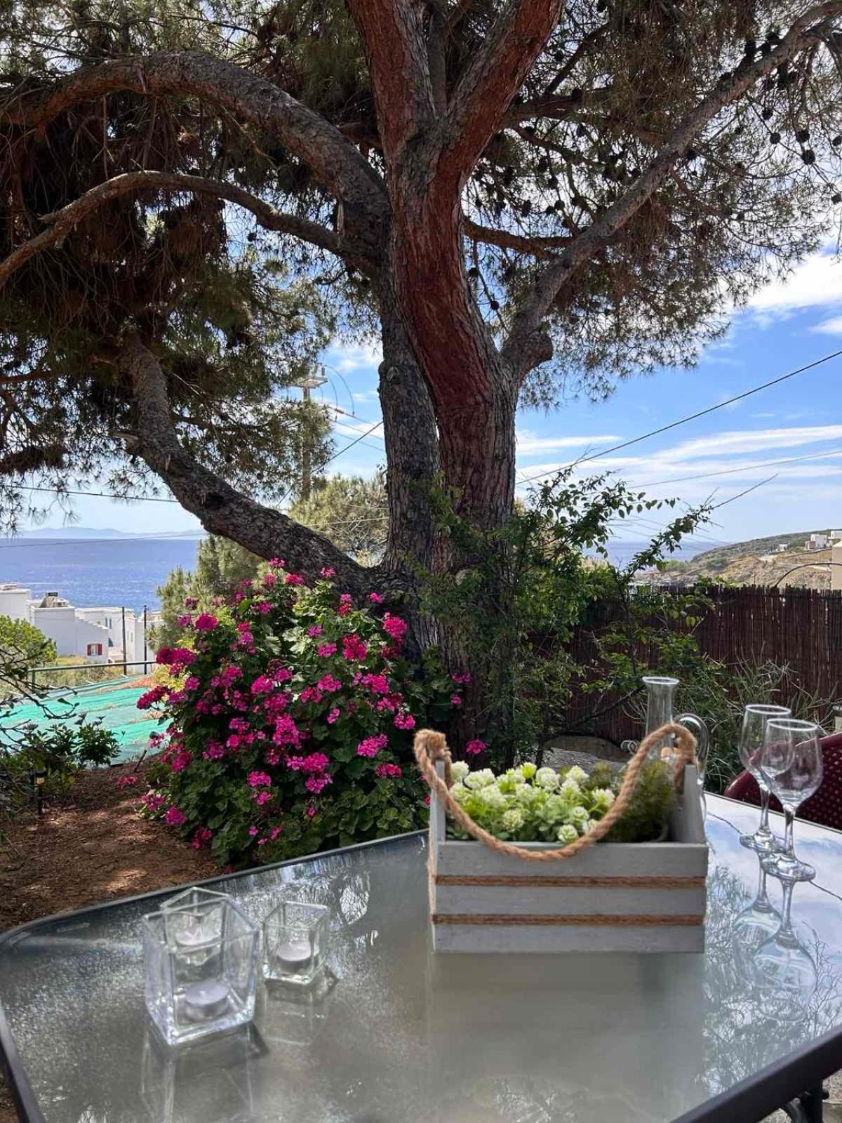 אגיוס רומנוס Grandpa Simos' Traditional Guest House מראה חיצוני תמונה